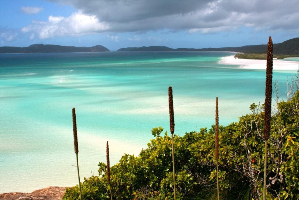 plage Whitehaven Australie 