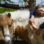 illus_centre_equestre_equitation_vacances