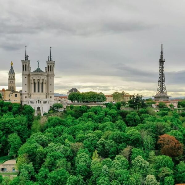 lyon panorama
