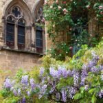 Découverte des activités de plein air à Sarlat et en Périgord Noir illus_sarlat