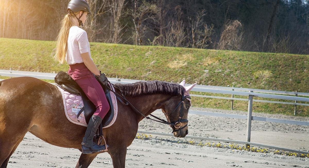 projet pédagogique équitation