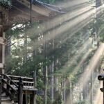 illus_voyage_japon