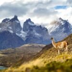 voyager en patagonie