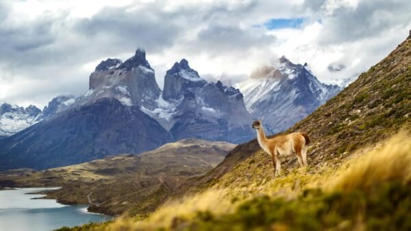 voyager en patagonie