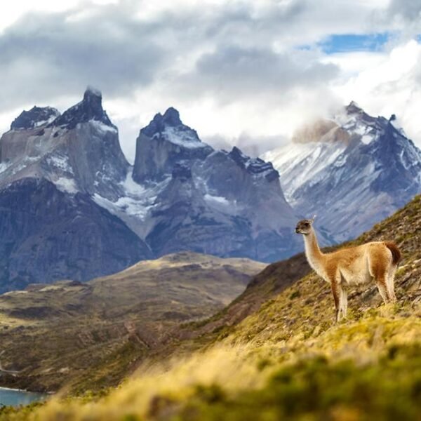 voyager en patagonie