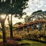 Chèques-Vacances et Parc Astérix : Comment en Profiter Pleinement ? parc attraction Asterix