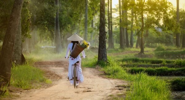 voyage au Vietnam