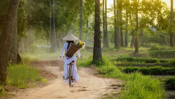 voyage au Vietnam
