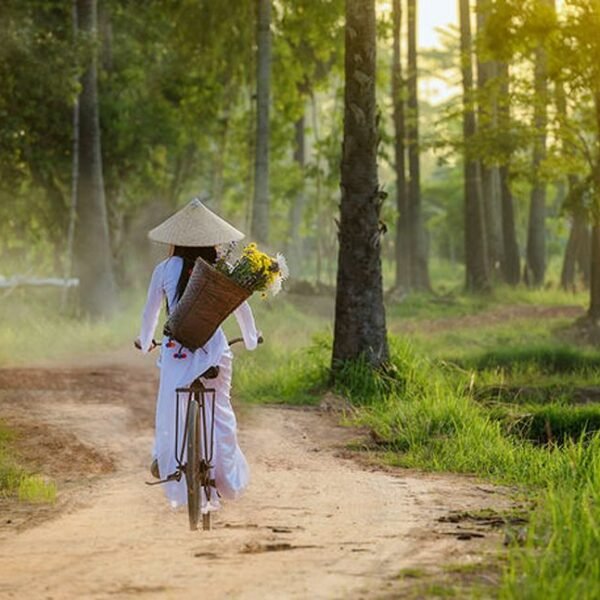 voyage au Vietnam