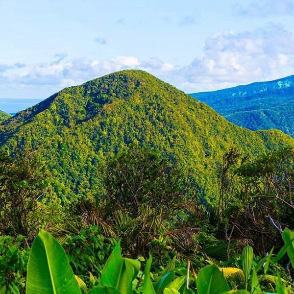 bouillante guadeloupe